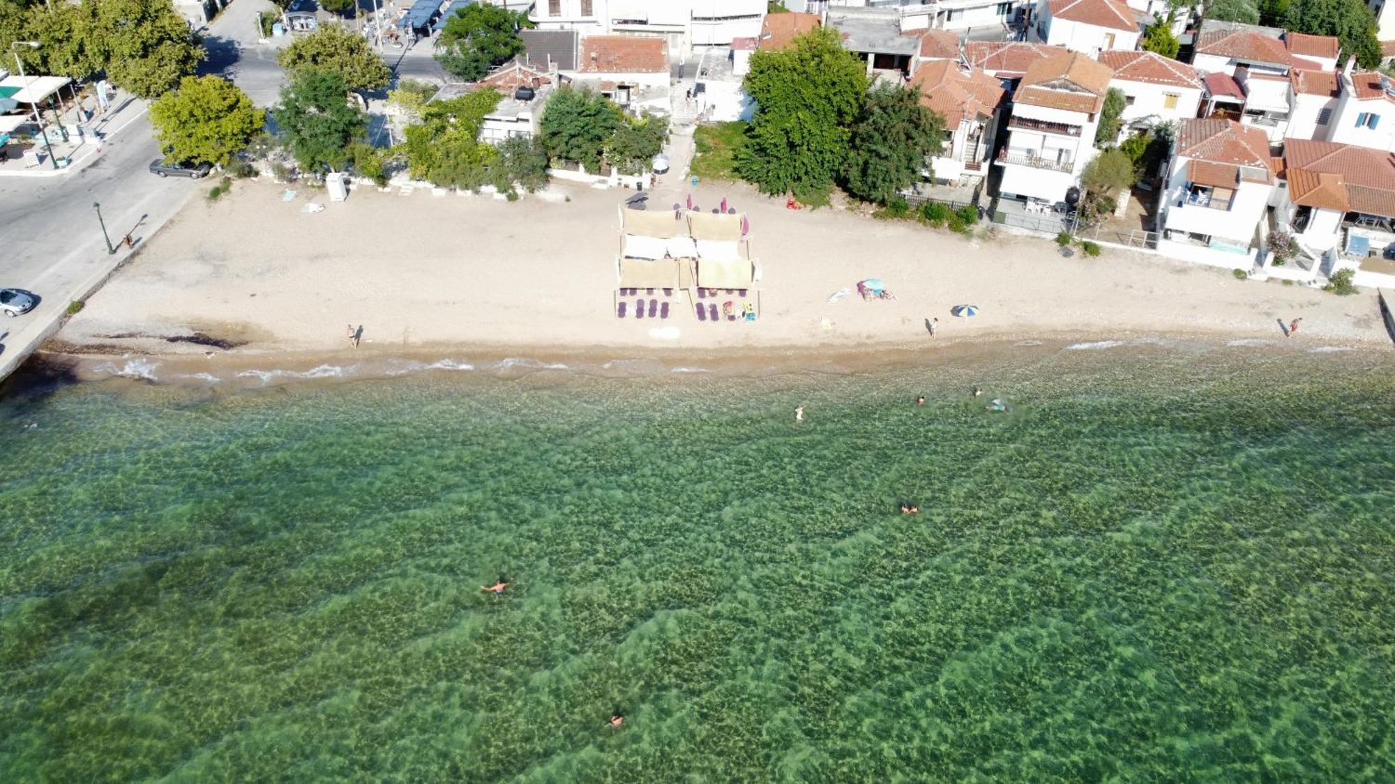 Beachfront Apartment Thassos Σκάλα Καλλιράχης Δωμάτιο φωτογραφία